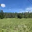  Land for sale in Khanom, Nakhon Si Thammarat, Khanom