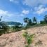 ขายที่ดิน ใน ตลิ่งงาม, สุราษฎร์ธานี, ตลิ่งงาม, เกาะสมุย, สุราษฎร์ธานี