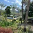  Land for sale in Thalang Phuket, Choeng Thale, Thalang, Phuket