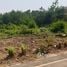  Land for sale in Thailand, Ton Thong Chai, Mueang Lampang, Lampang, Thailand