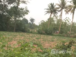  Terreno (Parcela) en venta en Maha Sarakham, Hua Khwang, Kosum Phisai, Maha Sarakham
