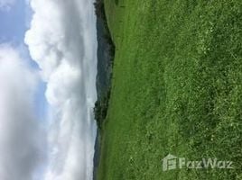  Land for sale in San Ramon, Alajuela, San Ramon