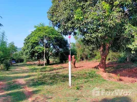  Terrain for sale in Khao Noi, Tha Muang, Khao Noi