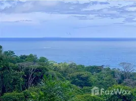  Land for sale in Osa, Puntarenas, Osa