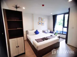 1 Schlafzimmer Wohnung zu vermieten im THE BASE Central Phuket, Wichit