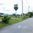  Terreno (Parcela) en venta en Bang Si Mueang, Nonthaburi, Bang Si Mueang, Mueang Nonthaburi, Nonthaburi