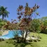 Maison 4 chambre à vendre à Sosua, Puerto Plata, Sosua, Puerto Plata, République dominicaine