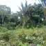  Terrain for sale in Amazonas, Presidente Figueiredo, Amazonas