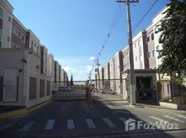 2 Quarto Apartamento for sale at Vila São José, Pesquisar