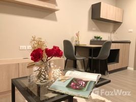 Studio Condo for rent at Dcondo Hideaway-Rangsit, Khlong Nueng, Khlong Luang, Pathum Thani