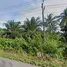  Land for sale in Chumphon, Na Kratam, Tha Sae, Chumphon