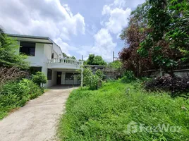 3 Schlafzimmer Haus zu verkaufen in Mueang Chiang Mai, Chiang Mai, Suthep