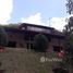 7 Bedroom House for sale in Malacatos Valladolid, Loja, Malacatos Valladolid
