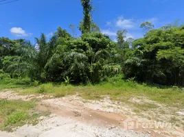 ขายที่ดิน ใน เชิงทะเล, ภูเก็ต, เชิงทะเล