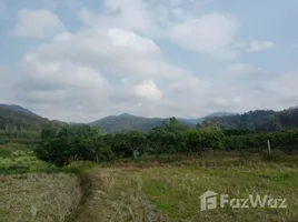 ขายที่ดิน ใน สันทราย, เชียงใหม่, สันทราย, พร้าว, เชียงใหม่