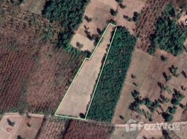  Land for sale in Yasothon, Phai, Sai Mun, Yasothon