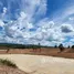  Land for sale in Pak Chong, Nakhon Ratchasima, Pak Chong, Pak Chong, Nakhon Ratchasima