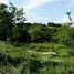  Land for sale in Tilaran, Guanacaste, Tilaran