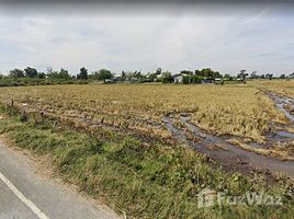  Land for sale in Chumphon Buri, Surin, Si Narong, Chumphon Buri