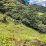  Terrain for sale in Équateur, Loja, Loja, Loja, Équateur