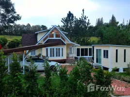 ขายที่ดิน ใน แคมป์สน, เพชรบูรณ์, แคมป์สน