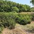  Land for sale in Guanacaste, Santa Cruz, Guanacaste