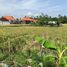  Land for sale in Badung, Bali, Canggu, Badung