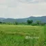  Land for sale in Doi Saket Chiang Mai, Choeng Doi, Doi Saket, Chiang Mai, Thailand