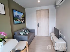 1 Bedroom Condo for rent at Nue Noble Ngamwongwan, Bang Khen, Mueang Nonthaburi, Nonthaburi