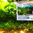  Grundstück zu verkaufen in Santa Fe, Central Visayas, Santa Fe, Cebu, Central Visayas, Philippinen
