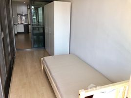 1 спален Квартира в аренду в The Waterford Sukhumvit 50, Phra Khanong