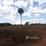  Land for sale in Amazonas, Coari, Amazonas