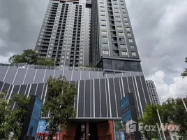คอนโด 2 ห้องนอน ให้เช่า ในโครงการ Ideo Sukhumvit - Rama 4, พระโขนง