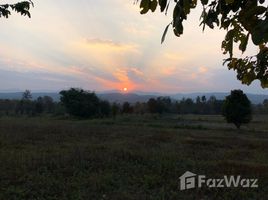  Grundstück zu verkaufen in Mae Taeng, Chiang Mai, Sop Poeng