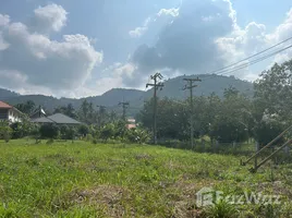  Grundstück zu verkaufen in Koh Samui, Surat Thani, Maenam, Koh Samui
