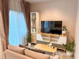 คอนโด 1 ห้องนอน ให้เช่า ในโครงการ ไลฟ์ อโศก พระราม 9, มักกะสัน