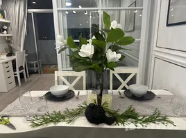 อพาร์ทเม้นท์ 1 ห้องนอน ให้เช่า ในโครงการ มอนเทอเรย์ เพลส, คลองเตย