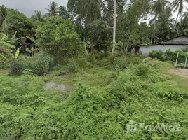  Grundstück zu verkaufen in Thalang, Phuket, Mai Khao