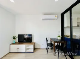 Studio Apartment for rent at THE BASE Central Phuket, Wichit, Phuket Town