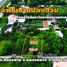  Земельный участок for sale in Khlong Sam, Патумтани, Khlong Sam, Khlong Luang, Патумтани, Таиланд