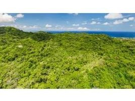  Land for sale in Mexico, Compostela, Nayarit, Mexico