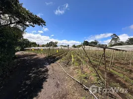Terrain à vendre à San Isidro, Heredia, San Isidro