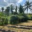  Land for sale in Mengwi, Bali, Mengwi, Badung, Bali