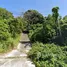  Land for sale in Surat Thani, Bo Phut, Koh Samui, Surat Thani