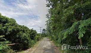 N/A Land for sale in Tha Duea, Chiang Mai 