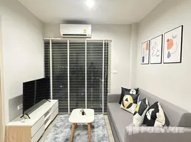 1 Habitación Apartamento en alquiler en Nue Noble Srinakarin - Lasalle, Samrong Nuea