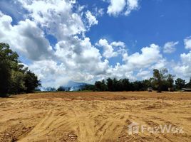  Grundstück zu verkaufen in Takua Thung, Phangnga, Khok Kloi, Takua Thung, Phangnga, Thailand