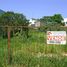  Terreno (Parcela) en venta en Fernando De Noronha, Rio Grande do Norte, Fernando De Noronha, Fernando De Noronha