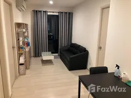 2 Schlafzimmer Wohnung zu vermieten im Life Asoke, Bang Kapi