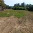  Land for sale in Compostela, Nayarit, Compostela